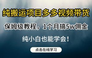 纯搬运项目多多视频带货保姆级教程，1个月搞5w佣金，纯小白也能学会【揭秘】-瀚海资源库