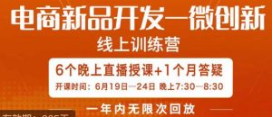 南掌柜·电商新品开发——微创新,电商新品微创新是你企业发展的护城河-瀚海资源库