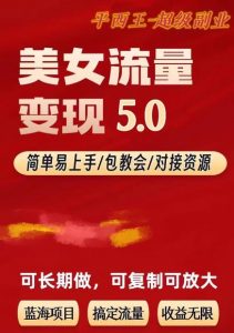 TK美女短视频变现项目无限复制（升级版），全网最高性价比项目【揭秘】-瀚海资源库