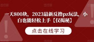 一天800块，2023最新反撸pz玩法，小白也能轻松上手【仅揭秘】-瀚海资源库