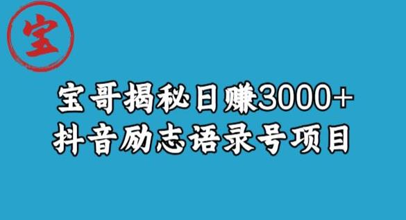 宝哥揭秘日赚3000+抖音励志语录号短视频变现项目-瀚海资源库