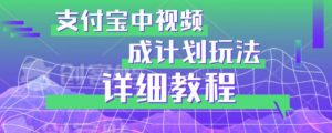 避坑玩法:支付宝中视频分成计划玩法实操详解【揭秘】-瀚海资源库
