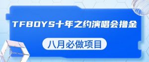最新蓝海项目，靠最近非常火的TFBOYS十年之约演唱会流量掘金，八月必做的项目【揭秘】-瀚海资源库