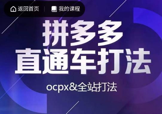 互力·拼多多直通车打法，ocpx&全站打法-瀚海资源库