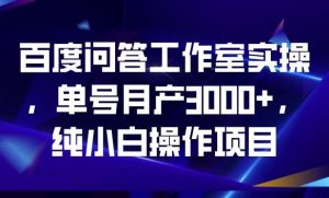 百度问答工作室实操，单号月产3000+，纯小白操作项目【揭秘】-瀚海资源库