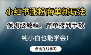 小红书涨粉商单新玩法，保姆级教程，商单接到手软，纯小白也能学会【揭秘】-瀚海资源库