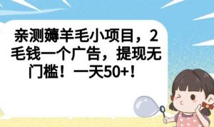 亲测薅羊毛小项目，2毛钱一个广告，提现无门槛！一天50+【揭秘】-瀚海资源库