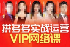 推易拼多多VIP全套直播课程,拼多多店铺实操玩法+实战玩法选款内功+直通车高阶等-瀚海资源库