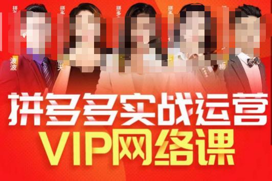 推易拼多多VIP全套直播课程，拼多多店铺实操玩法+实战玩法选款内功+直通车高阶等-瀚海资源库