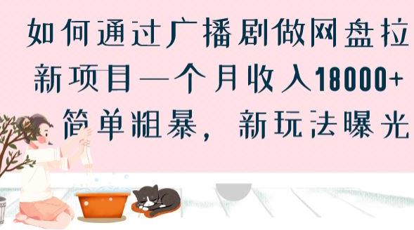 如何通过广播剧做网盘拉新项目一个月收入18000+，简单粗暴，新玩法曝光【揭秘】-瀚海资源库