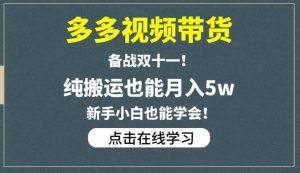 多多视频带货，备战双十一，纯搬运也能月入5w，新手小白也能学会-瀚海资源库