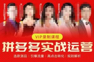 2023推易拼多多实战运营,选款测品、引爆流量、高点击转化、规则解析-瀚海资源库