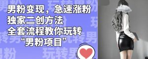 男粉变现,急速涨粉独家二创方法,全套流程教你玩转“男粉项目”【揭秘】-瀚海资源库
