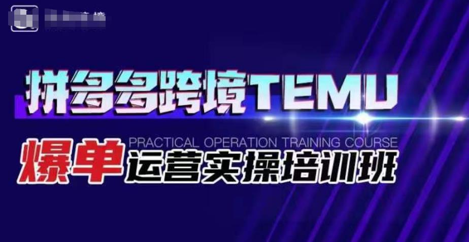 拼多多跨境TEMU爆单运营实操培训班，海外拼多多的选品、运营、爆单-瀚海资源库