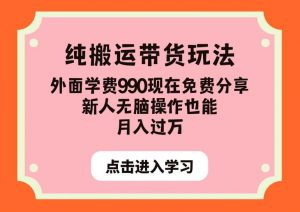 纯搬运带货玩法，外面学费990现在免费分享，新人无脑操作也能月入过万【揭秘】-瀚海资源库
