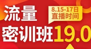 秋秋线上流量密训班19.0，打通流量关卡，线上也能实战流量破局-瀚海资源库