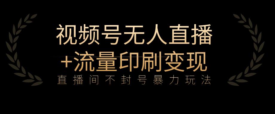 全网首发视频号不封号无人直播暴利玩法+流量印刷机变现，日入1000+【揭秘】-瀚海资源库