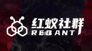 社群运营：红蚁社群【48节落地系统课程+2000人高端社群】-瀚海资源库