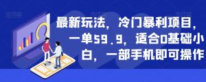 最新玩法，冷门暴利项目，一单59.9，适合0基础小白，一部手机即可操作【揭秘】-瀚海资源库
