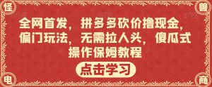 全网首发，拼多多砍价撸现金，偏门玩法，无需拉人头，傻瓜式操作保姆教程【揭秘】-瀚海资源库