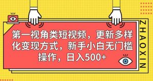 第一视角类短视频，更新多样化变现方式，新手小白无门槛操作，日入500+【揭秘】-瀚海资源库