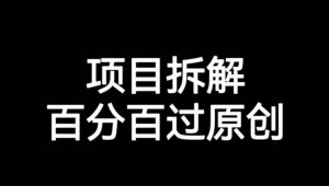 项目拆解赛道百分百过原创【揭秘】-瀚海资源库