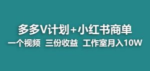 【蓝海项目】多多v计划+小红书商单一个视频三份收益工作室月入10w-瀚海资源库