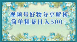 视频号好物分享解析，简单粗暴可以批量方大的项目【揭秘】-瀚海资源库