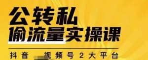 群响公转私偷流量实操课，致力于拥有更多自持，持续，稳定，精准的私域流量！-瀚海资源库