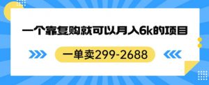 一单卖299-2688，一个靠复购就可以月入6k的暴利项目【揭秘】-瀚海资源库