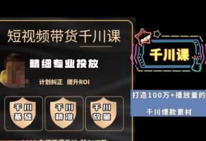 短视频带货-千川专业投放课，​精细化专业投放，计划纠正，提升ROI-瀚海资源库