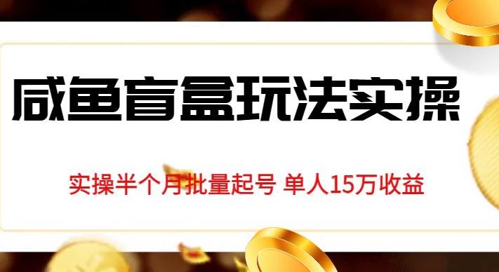 独家首发咸鱼盲盒玩法实操，半个月批量起号单人15万收益【揭秘】-瀚海资源库