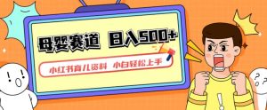小红书育儿资料，一部手机可操作，多种变现方式，日入500+，私域变现，长期可持续项目【揭秘】-瀚海资源库