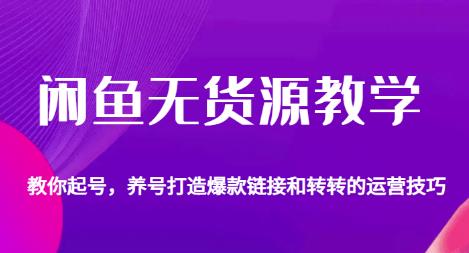 闲鱼无货源教学，教你起号，养号打造爆款链接以及转转的运营技巧-瀚海资源库