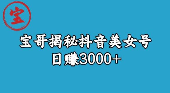 宝哥揭秘抖音美女号玩法，日赚3000+【揭秘】-瀚海资源库