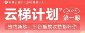 2023年8月份网易云最新独家挂机技术，真正实现挂机月入5000【揭秘】-瀚海资源库