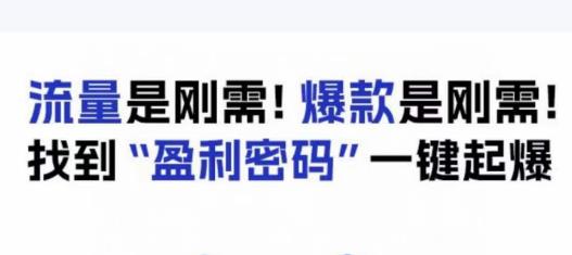 电商盈利精品课：6大盈利密码让产品更好卖，流量是刚需！爆款是刚需！找到”盈利密码”一键起爆-瀚海资源库