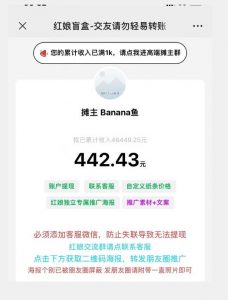 盲盒交友5.0，男粉变现实操项目，亲测变现效果极好【揭秘】-瀚海资源库