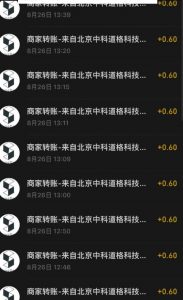 接码无限撸红包一分钟0.6无脑操作一天保底利润200-瀚海资源库