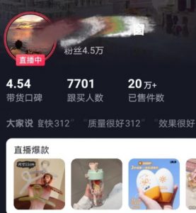 全新的蓝海赛道，抖音一元直播，不用囤货，不用出镜，照读话术也能20w+月销量【揭秘】-瀚海资源库