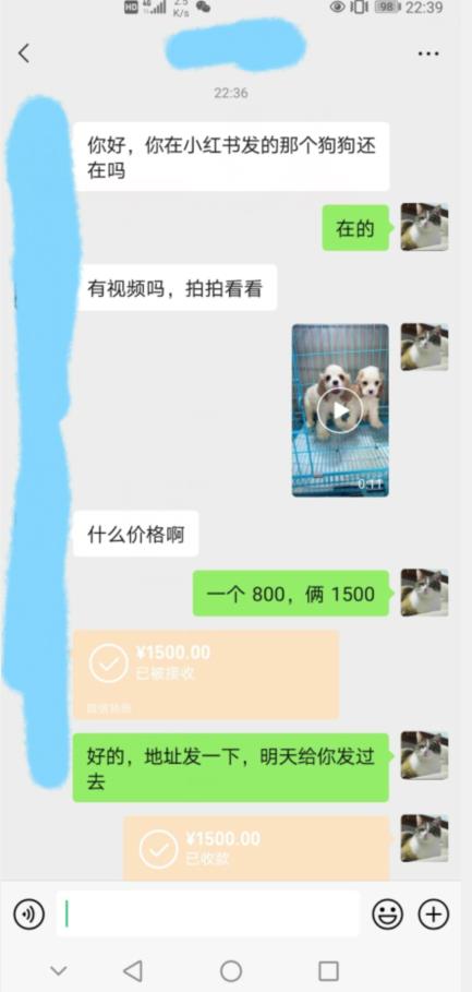 外边收费3980的同城萌宠项目，用最冷门的玩法冲击最热门的市场【揭秘】-瀚海资源库