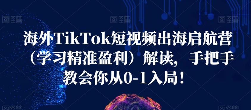海外TikTok短视频出海启航营（学习精准盈利）解读，手把手教会你从0-1入局！-瀚海资源库
