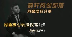 闲鱼核心玩法不卖货也能1年变现20W，玩法简单-瀚海资源库