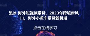 黑冰·海外短视频带货，2023年跨境新风口，海外小黄车带货新机遇-瀚海资源库