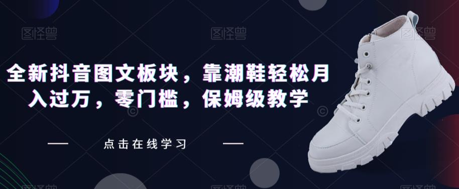 全新抖音图文板块，靠潮鞋轻松月入过万，零门槛，保姆级教学【揭秘】-瀚海资源库