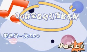 QQ群全自动引流音乐粉，单账号一天轻松引流30+-瀚海资源库