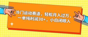 冷门运动赛道，轻松月入过万，一单纯利润30+，小白闭眼入【揭秘】-瀚海资源库
