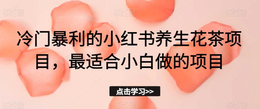 冷门暴利的小红书养生花茶项目，最适合小白做的项目【揭秘】-瀚海资源库