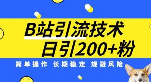 B站引流技术：每天引流200精准粉，简单操作，长期稳定，规避风险-瀚海资源库