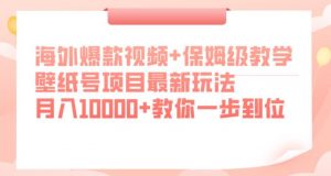 海外爆款视频+保姆级教学，壁纸号项目最新玩法，月入10000+教你一步到位【揭秘】-瀚海资源库